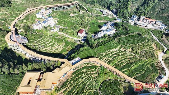 梧州苍梧县“两园”开园