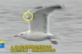 早安山东｜今日雨水；山东2025年高职单招综招报名；《哪吒2》票房超121亿，进入全球票房榜前9图片