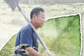 30多年一个人、一匹马、一把长镰刀不变的坚守图片