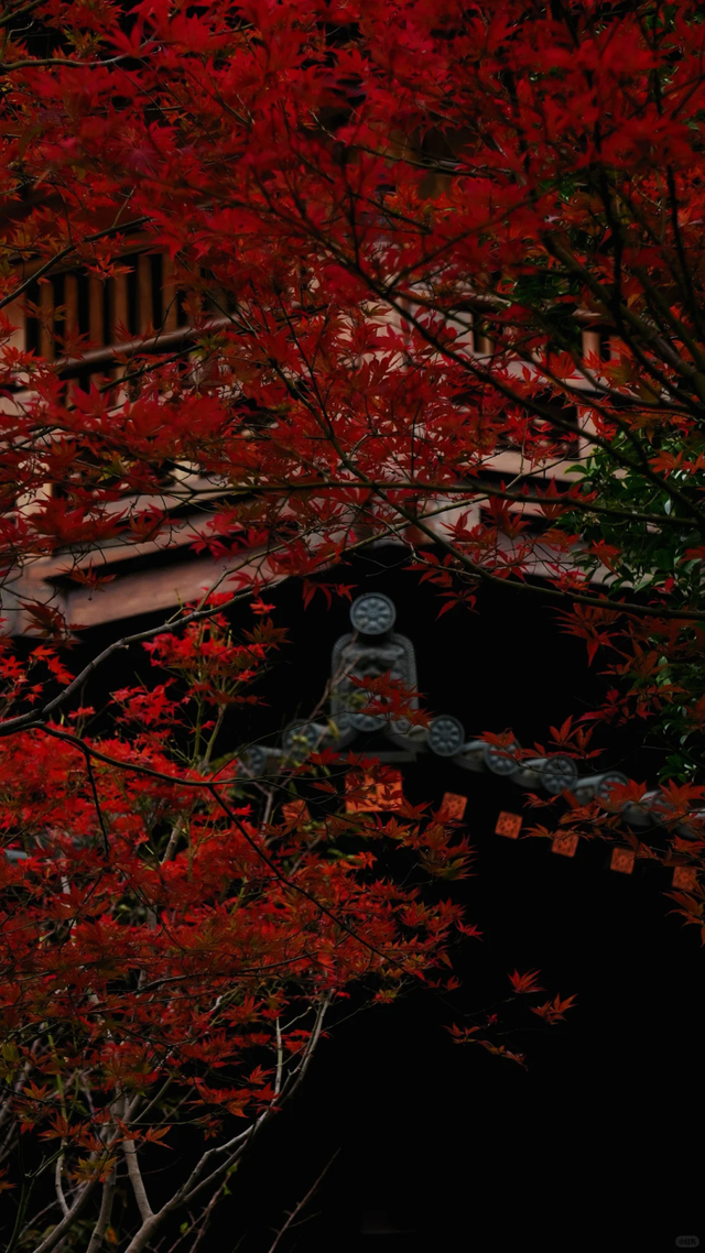 宝山隐藏打卡清单！“旅”选上海，“超”级精彩！这里出片率100%！