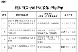 湖南省政府办公厅通知！《湖南省提振消费专项行动方案》来了图片