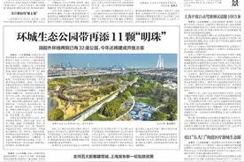 王慧敏等：闻香识都市，玉兰IP绽放申城图片