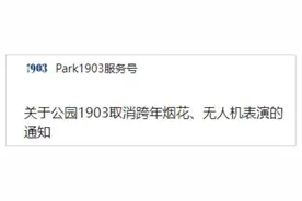 市民注意！公园1903取消跨年烟花、无人机表演图片