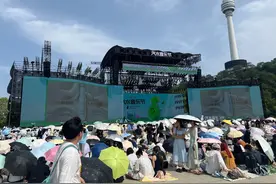 太燃了，乐迷们拖着行李箱来看音乐节图片