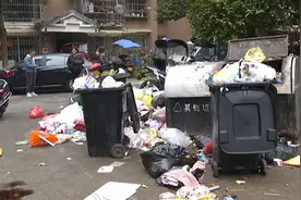 崩溃！贵阳一小区垃圾遍地，居民出门无处下脚，​物业：请交物业费图片