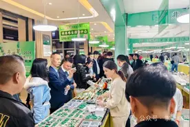 非洲翠产业发展势头强劲图片
