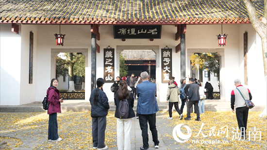 岳麓山下 枫红杏黄