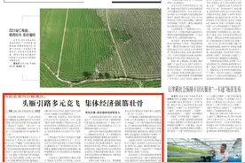 河南省漯河市郾城区：头雁引路多元竞飞 集体经济强筋壮骨图片