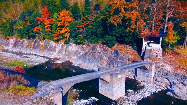 晚潮｜当蓼子花匍匐过滩涂，岁月便藏起了满地温柔