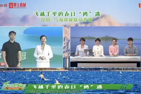 共赏春日“鸥”遇 昆明乌海双城联动直播圆满收官图片