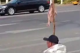 烟台街头重现20年前甲鱼骗术图片