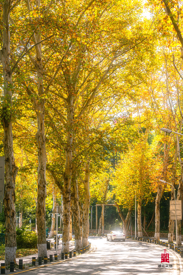 寒潮倒计时！再不来就迟了