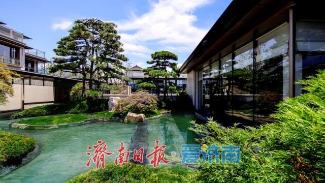 白泉湿地公园对外开放吸引众多市民关注