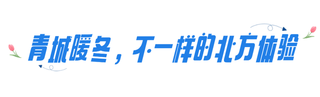 倒计时！2025呼和浩特冬季文旅推介会即将启幕，“暖冬密码”抢先解锁！