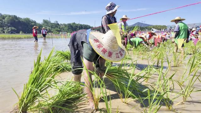 产品上新 场景创新！宜都打造多元夏日经济“引力场”