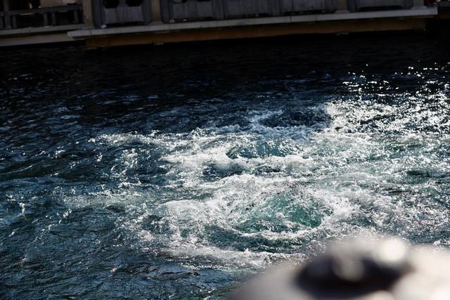 新视界｜如诗如画！冬至趵突泉 景色别样新