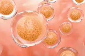 干细胞是糖尿病的“终结者”吗图片