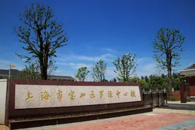 宝山区罗泾中心校：踔厉奋发，赓续前行，办家门口的好学校图片
