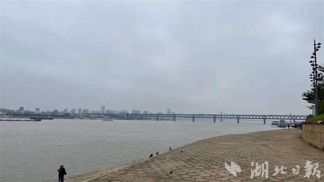 我的长江我的家丨来南岸嘴公园亲眼见证“两江交汇”