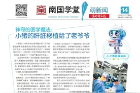 南国学堂·萌新闻丨为什么飞机不能在雷雨天起飞图片
