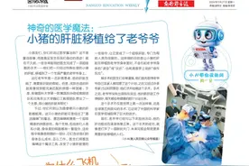 南国学堂·萌新闻丨为什么飞机不能在雷雨天起飞图片