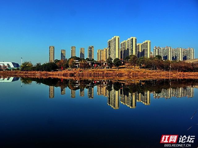 漫步神农湖：在城市的喧嚣边缘，寻一方安宁