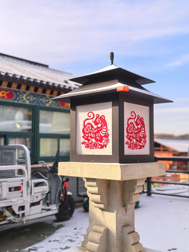 雪后的大运河森林公园，活力满满