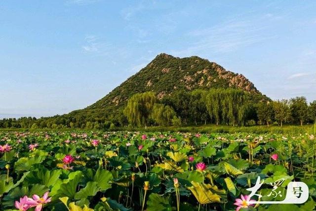 壹点号·秀山东｜山清水秀华山湖，鹊华秋色诗意浓