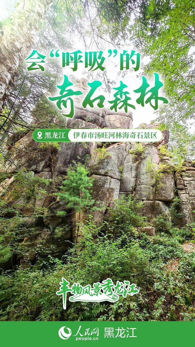 丰物风景秀龙江｜黑土地的绿脉呼吸