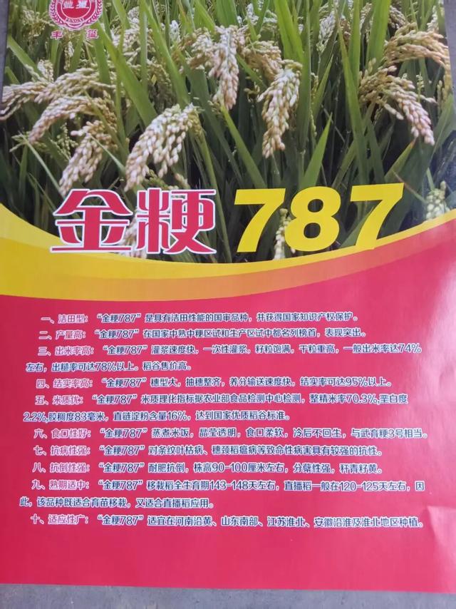 赶大集不用东奔西走~郯城大剧院市集今天下午等你