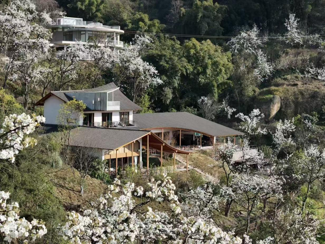 “泸”途有归处，一宿一风景：邂逅泸州10家宝藏民宿
