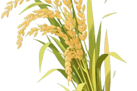 法护粮安·案件|流转土地被闲置后能否收回？巡回审判开到村口……图片