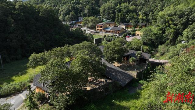 共赴秋光里的文化奇遇! 《村里有个馆》 11月3日重磅来袭