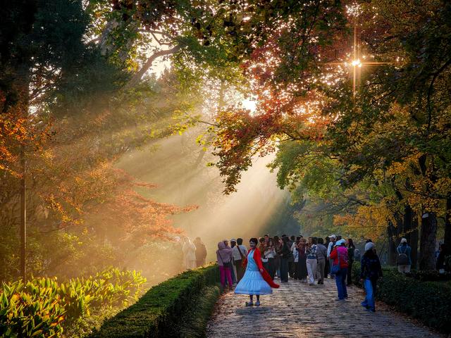 明孝陵清晨现丁达尔绝美景观