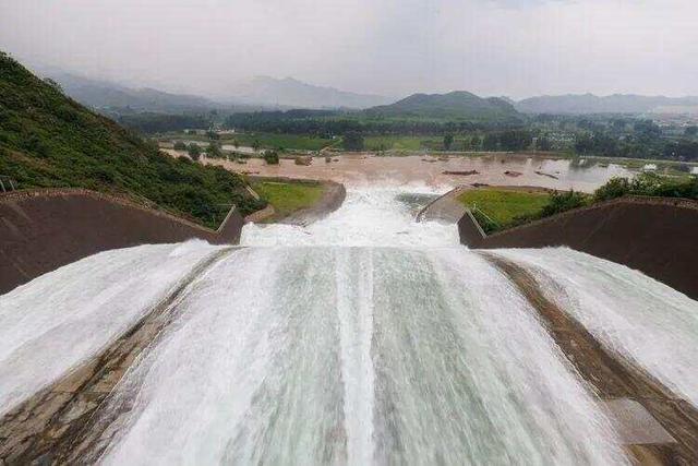 密云水库开闸泄流，大量鲢鱼、鳙鱼随水流奔涌而出，跃出水面