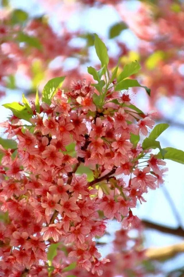 泡天然温泉、体验火塘烤茶……普洱的冬天，暖意融融