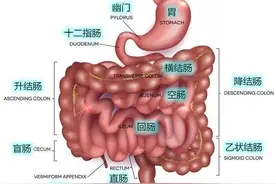 跟肠粘连说“拜拜”：预防有妙招图片