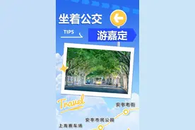 嘉定102路出发！在风驰电掣中感受老街新韵图片