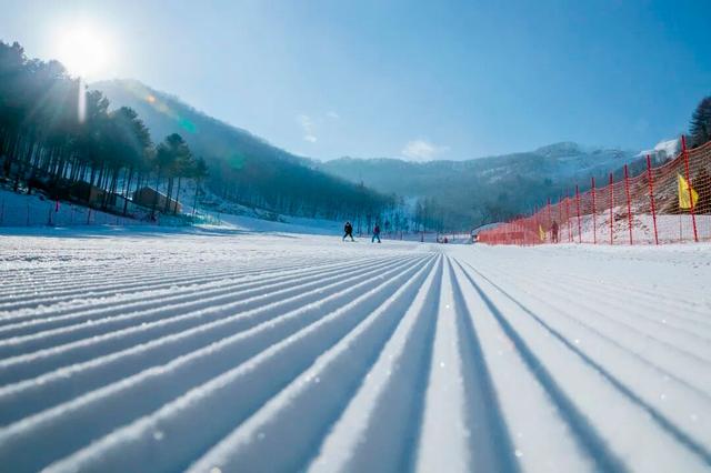 本桓高速开通！沈阳出发1.5小时直达天桥沟滑雪场，12月6日开板狂欢！