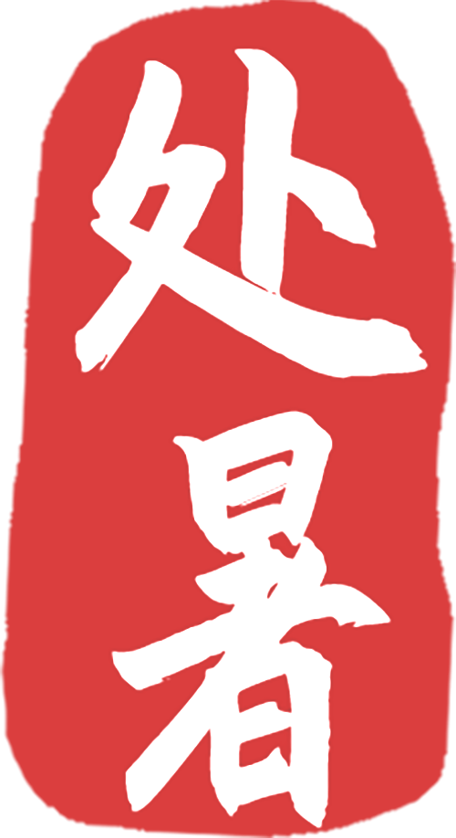 媒体传真｜从历史探秘到光影盛宴——市图书馆“阅享假期”系列活动燃爆暑假
