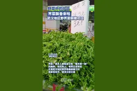 “冬季第一鲜”，荠菜飘香而来图片