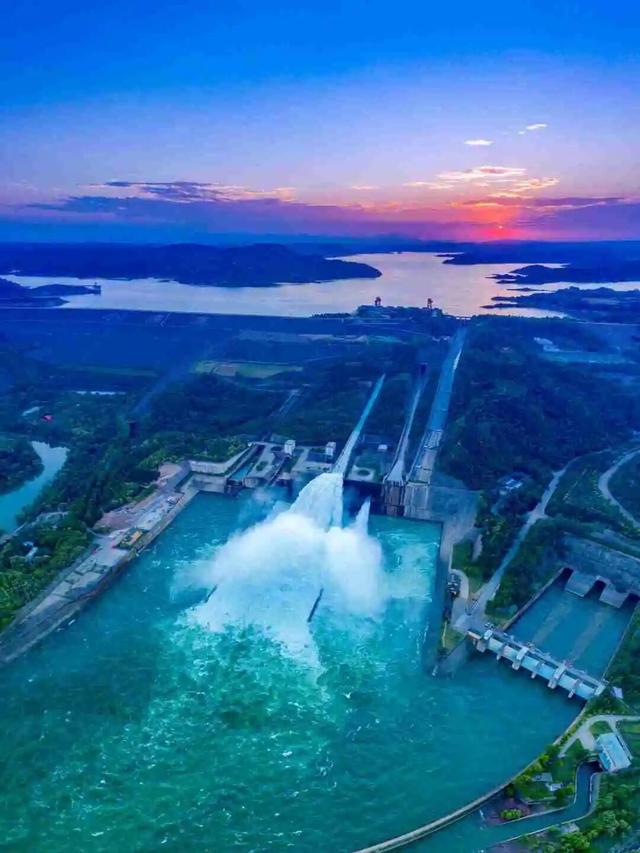 我们，如此热爱洛阳