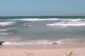 【提醒】海边究竟隐藏哪些危险？这篇保命指南务必收藏好！图片