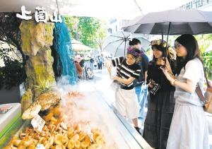 昆明盛夏 蘑力四射