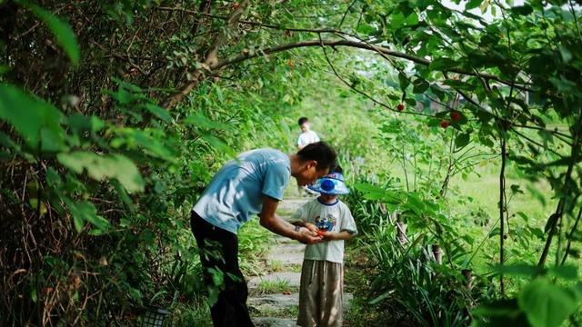 周末就来青白江！又研学又度假，安排！