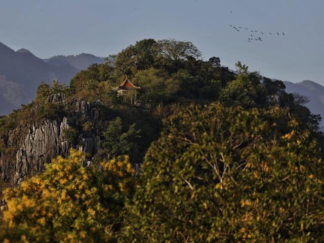 全省建成257个绿美点，广东因地制宜打造更多绿色开敞空间