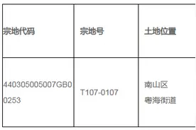 “华润+中海”185亿竞得粤海街道地块  刷新深圳宅地成交总价新高图片
