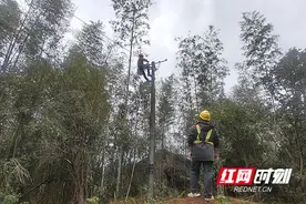 国网株洲渌口区供电公司：“售后”提前，电力消费智享无忧图片