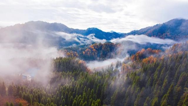 秋假必冲！瓦屋山免门票赏秋，徒步挑战拿奖牌！