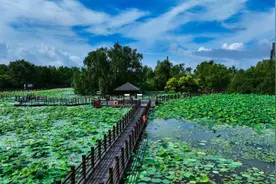 @中考生 毕业季“撒欢”指南 部分景区可免票图片